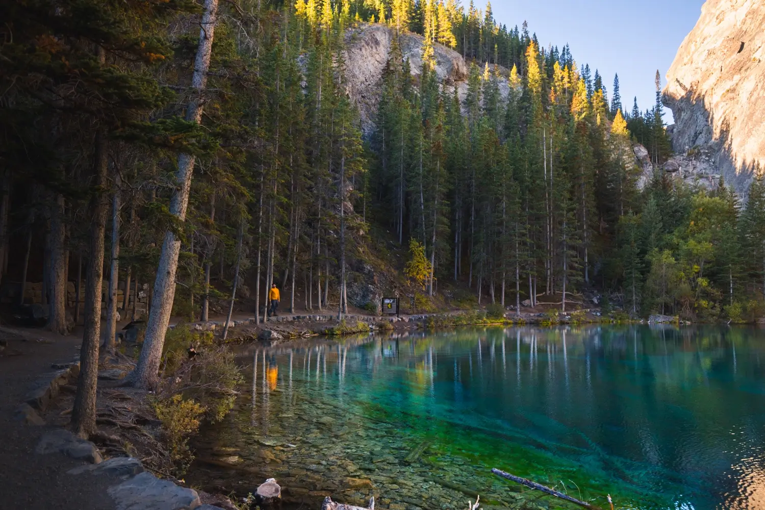 A person in an orange jacket walks on a path beside the clear, turquoise waters of Grassi Lakes, surrounded by pine trees and rocky hills under a clear sky.