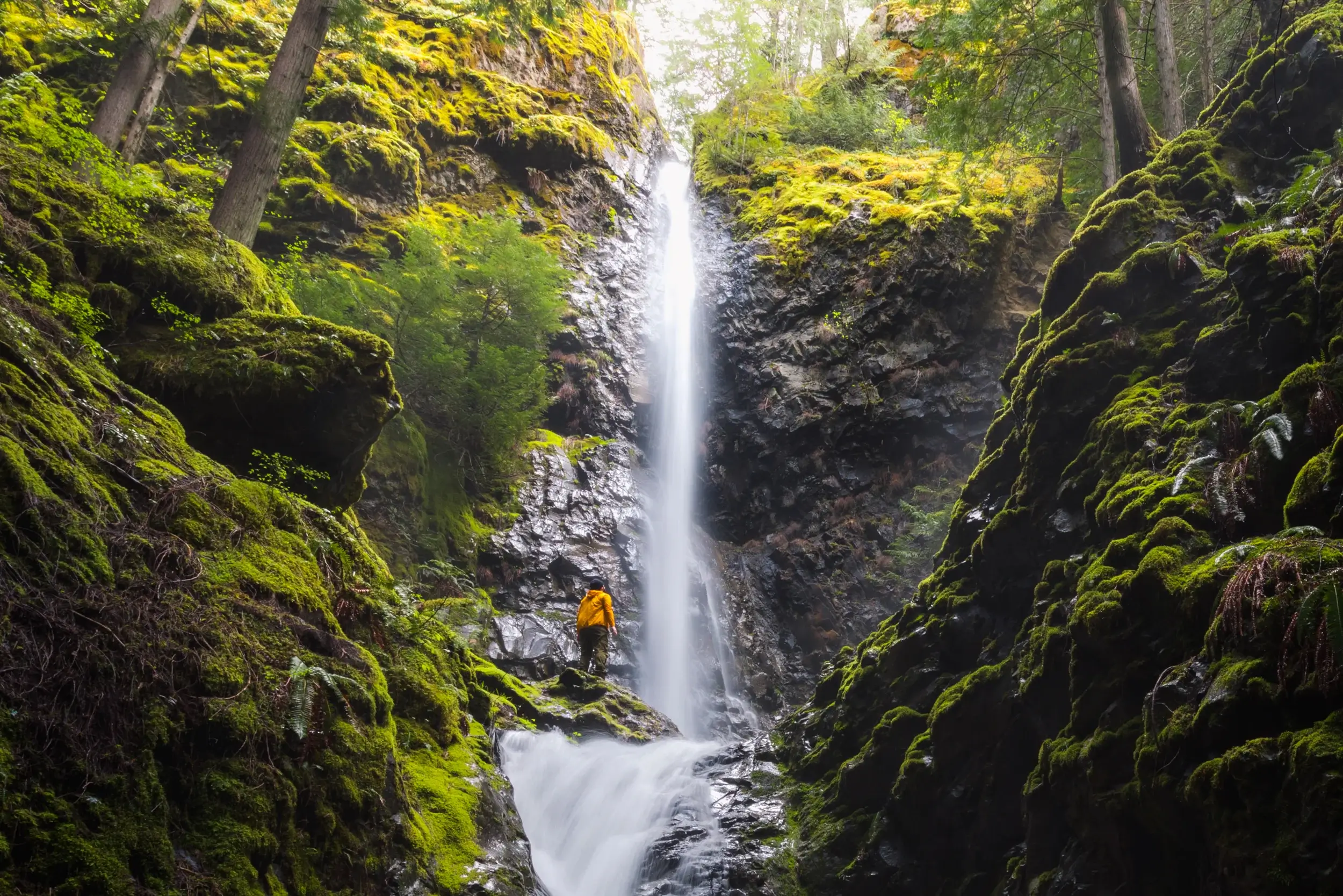 Lupin Falls