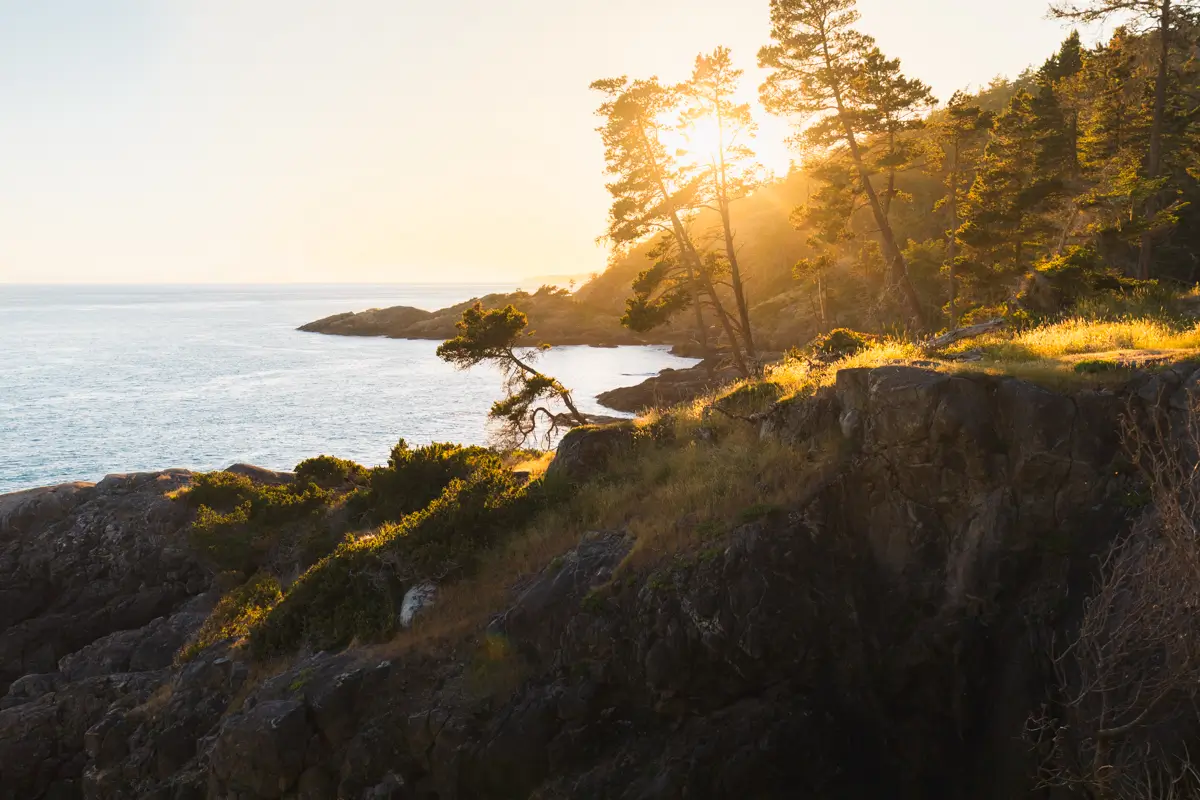 Sunlight shines through tall trees on a rocky coastal cliff along the East Sooke Coast Trail. The foreground features grassy patches and shrubs, while the water and horizon are visible in the background.