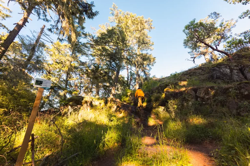 A person wearing a yellow jacket stands on rocky cliffs along the East Sooke Coast Trail, overlooking the ocean with waves crashing below, as the sun sets near the horizon and trees frame the scene on the right.
