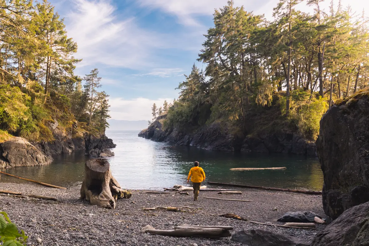 A person in a yellow jacket stands on a rocky beach along the East Sooke Coast Trail, facing a calm inlet surrounded by trees and large rocks. Driftwood and tree stumps are scattered along the shore under a partly cloudy sky.