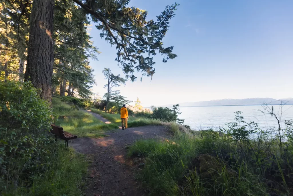 A person wearing a bright yellow jacket walks alone on the East Sooke Coast Trail, following a dirt path through a forested area beside a large body of water under a clear sky.