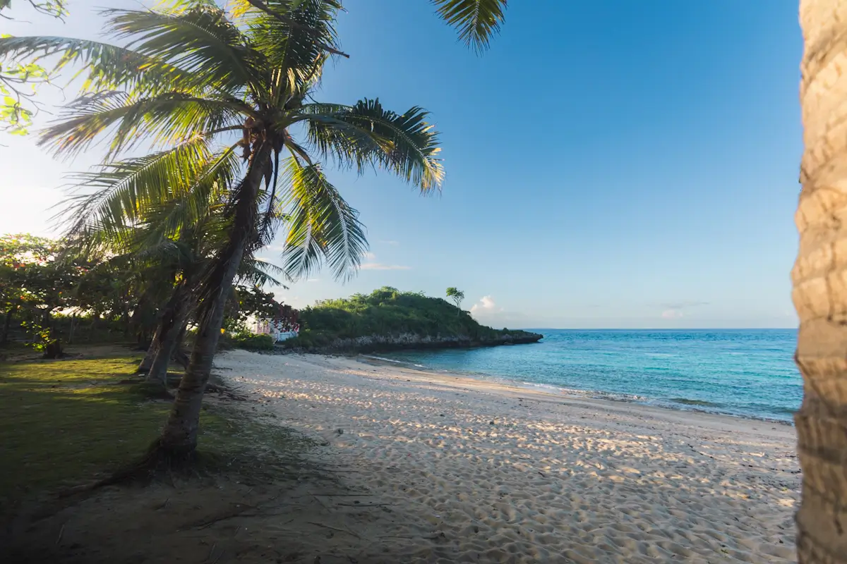 A sandy beach with clear blue water, bordered by palm trees and lush vegetation, is one of the Malapascua tourist spots. Sunlight filters through the leaves, casting gentle shadows onto the sand beneath a bright blue sky.