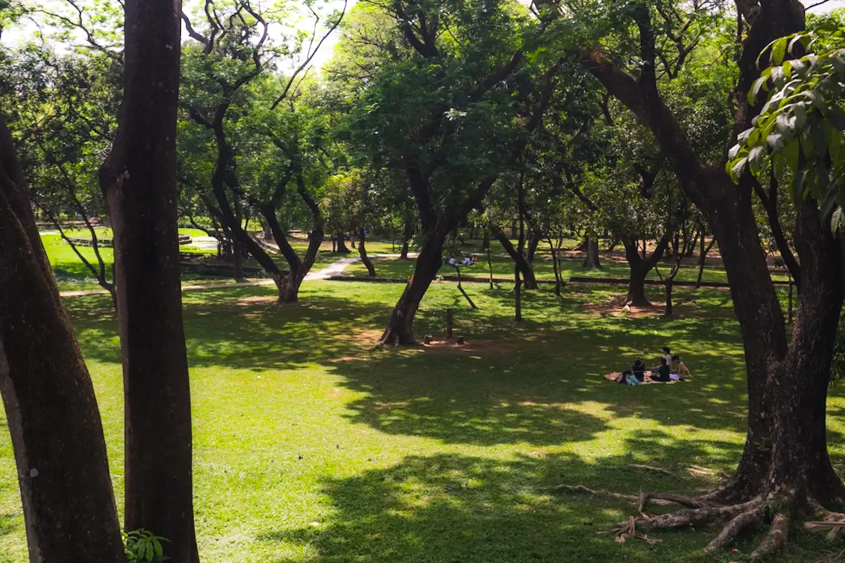A sunlit park, one of the serene Manila tourist spots, features scattered tall trees casting gentle shadows on the grass. A few people relax in the distance, giving the scene a calm and peaceful atmosphere.