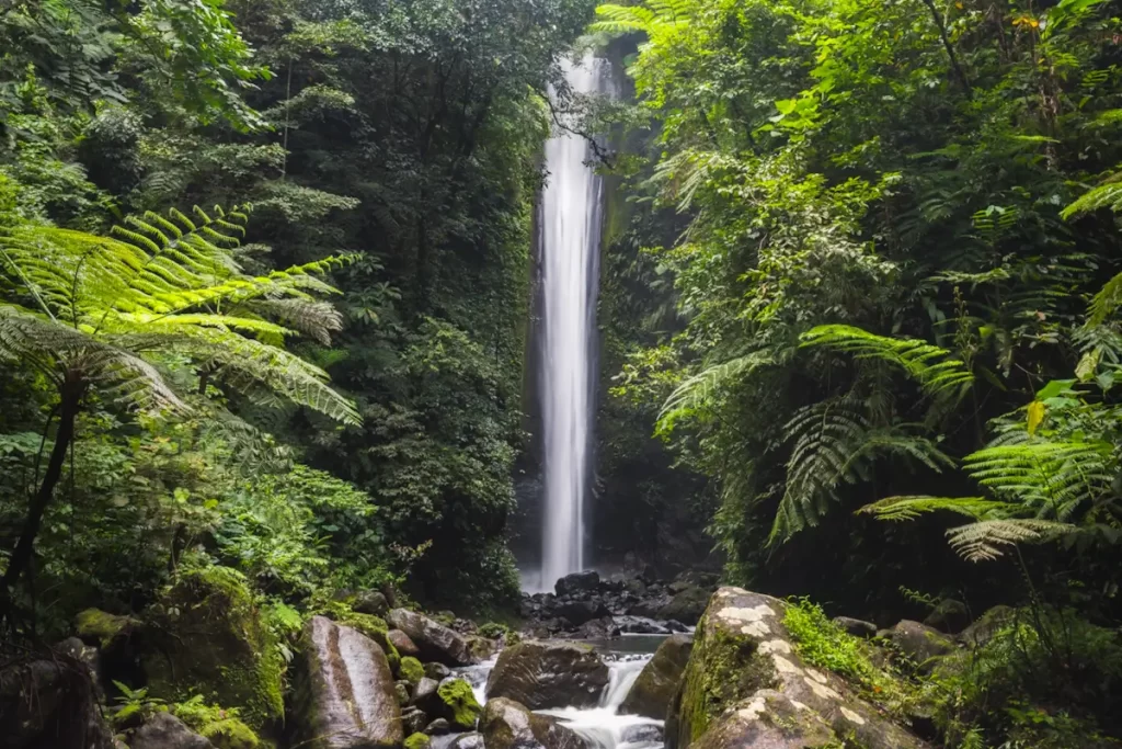 A tall, narrow waterfall cascades down a rock face surrounded by dense green foliage and ferns at Casaroro Falls, with moss-covered rocks and a small stream in the foreground.