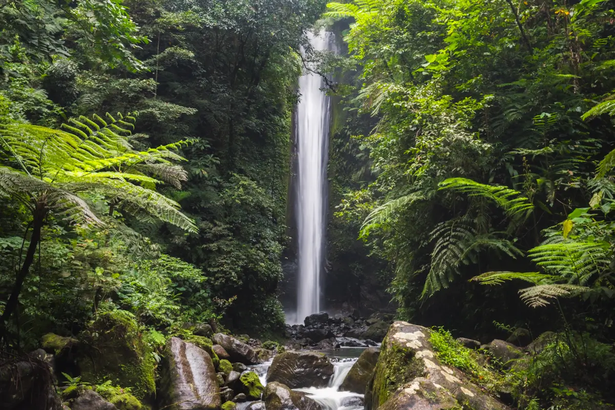 A tall, narrow waterfall cascades down a rock face surrounded by dense green foliage and ferns at Casaroro Falls, with moss-covered rocks and a small stream in the foreground.