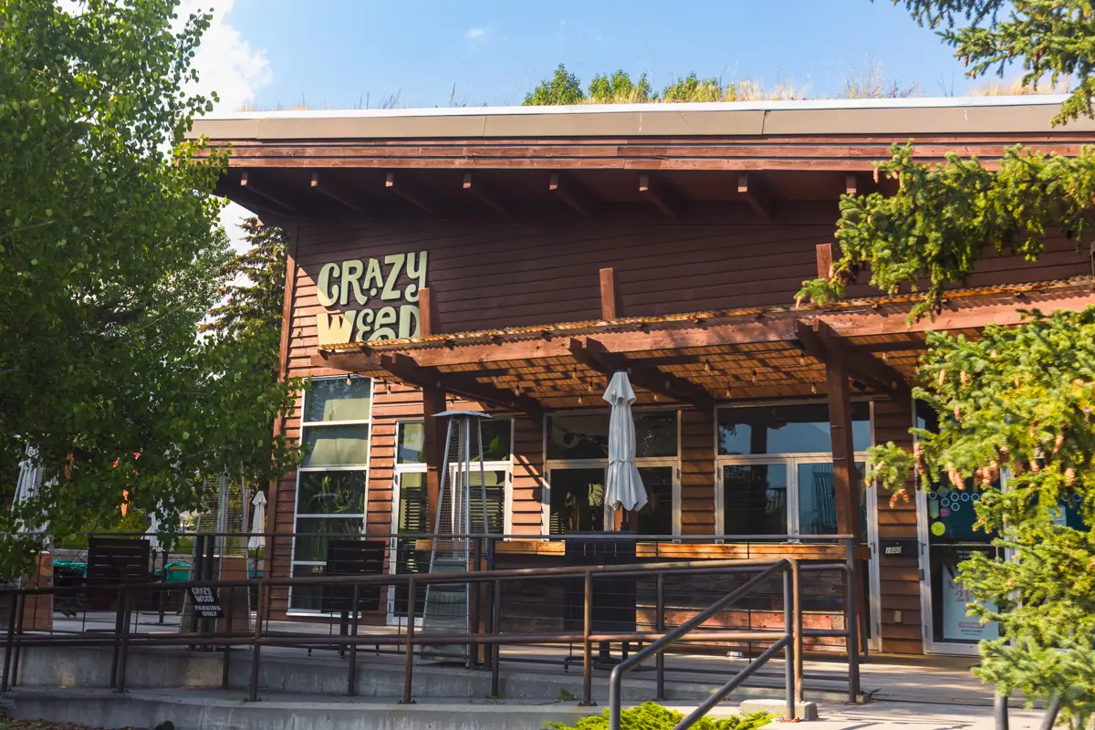 A wooden building with a sign that reads Crazy Weed sits in Canmore, above a patio area with tables, chairs, and a closed umbrella. Trees surround the building and the sky is clear.