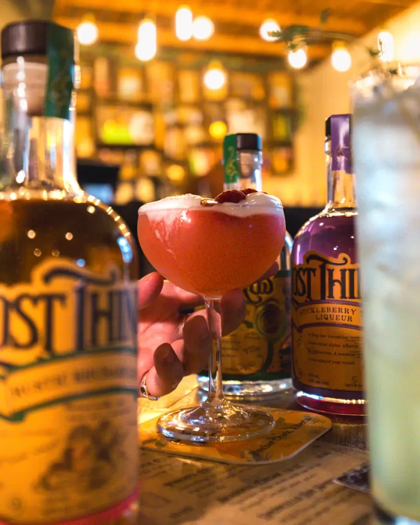 Aerial view of a small town surrounded by trees, with a winding river running through it and mountains in the background under a clear blue sky—a perfect scene for discovering Fernie activities.