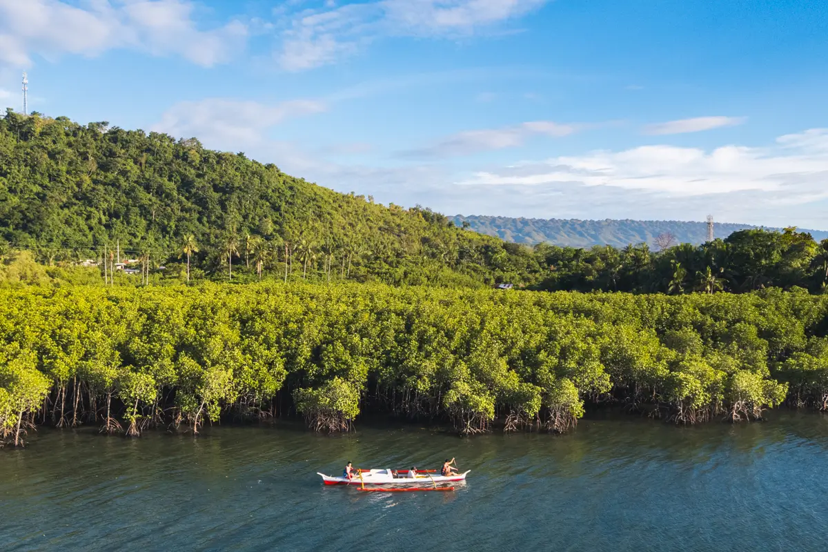 A small wooden boat with two people on board floats on a calm river in Moalboal, beside dense green mangrove trees, with a forested hill and blue sky in the background.