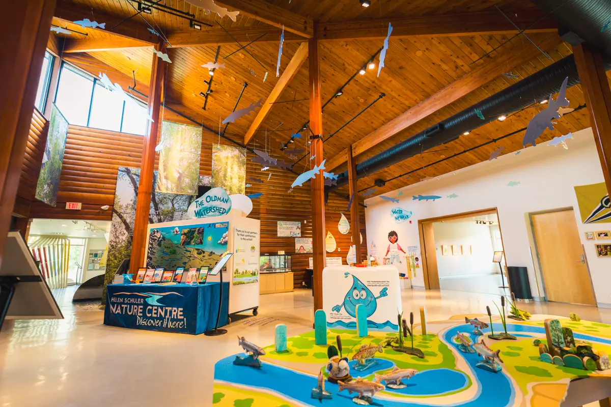 Interior of the Lethbridge nature centre with wooden ceilings, educational displays, informational booth, and a colorful map model on the floor. Hanging models of fish and birds decorate the bright, well-lit space.