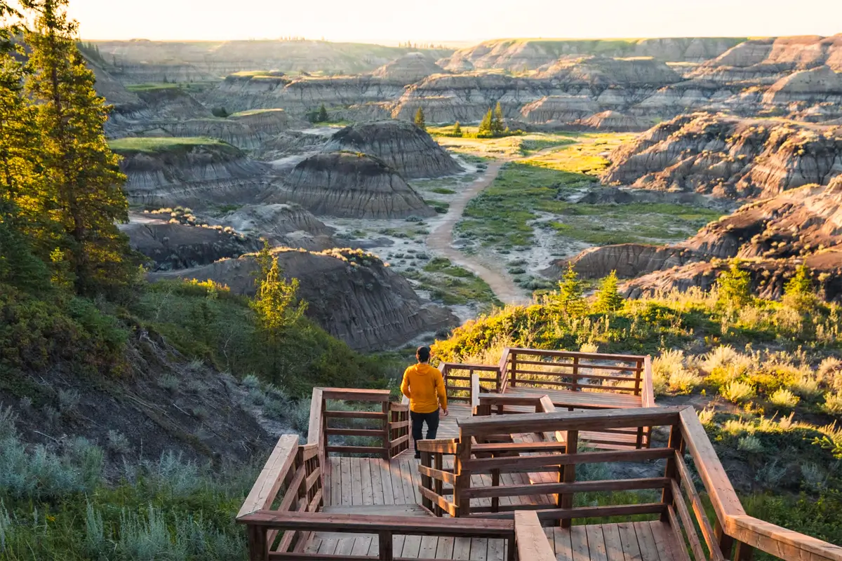 A person in a yellow shirt stands on a wooden observation deck near Lethbridge, overlooking a rocky badlands landscape with hills, green vegetation, and dirt paths under a clear sky at sunset.