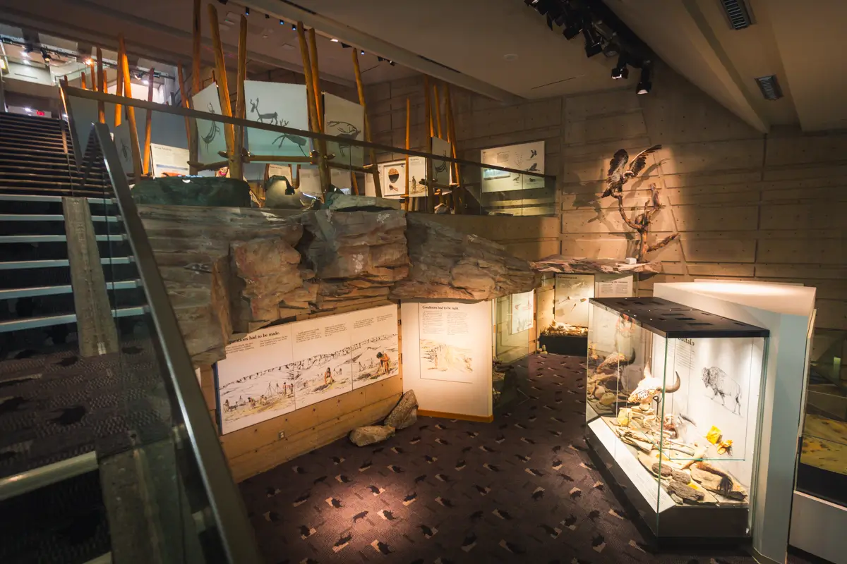 A natural history museum exhibit in Lethbridge displays rocks, informational panels, and glass cases with fossils and models of prehistoric creatures. Stairs are visible to the left, and lighting highlights the displays.