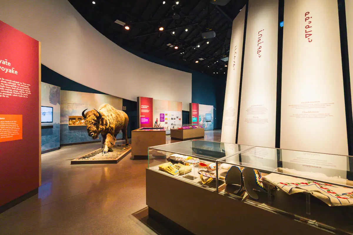 A museum exhibit, featured in many Saskatoon guide lists, displays a taxidermy bison, glass cases with beadwork and textiles, informational panels, and tall white columns with writing—one of the top things to do in Saskatoon for history enthusiasts.