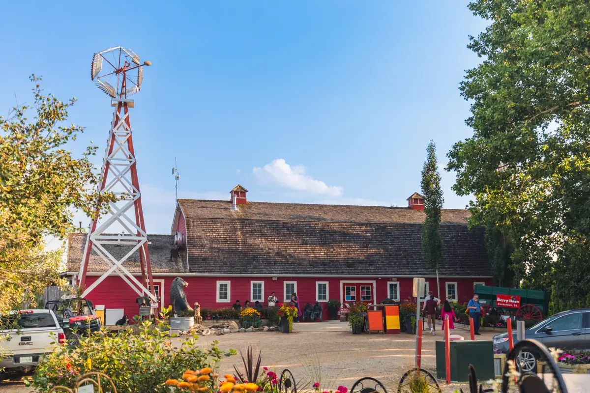 A large red barn with a shingled roof sits behind a windmill structure and some parked vehicles. Colorful flowers and trees surround the barn, making it a must-see spot in any Saskatoon travel guide, with several people near the entrance.