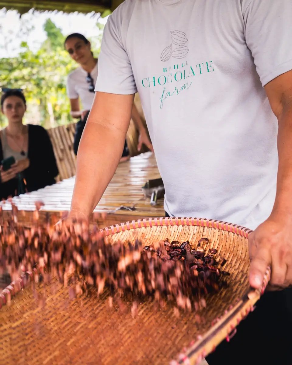 A person wearing a Chocolate Farm T-shirt sifts cocoa beans on a woven tray in Bohol. Three people watch in the background, sitting and standing near a wooden structure, with lush trees and greenery visible outside.