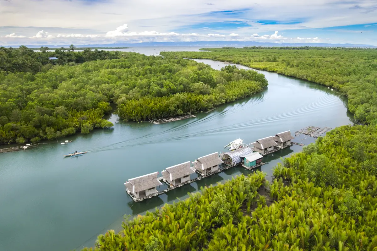 Aerial view of several floating cottages on a river in Bohol, surrounded by lush green mangrove forests, with a small boat moving through the water and a distant coastline visible under a cloudy sky.