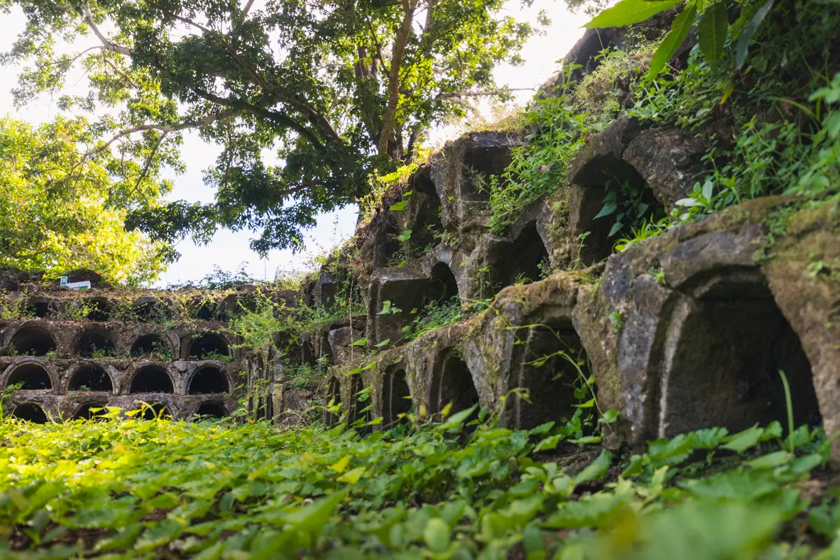 Rows of old, moss-covered stone arches in Bohol are partially overgrown with green plants and grass, set outdoors beneath a large tree with sunlight filtering through the leaves.