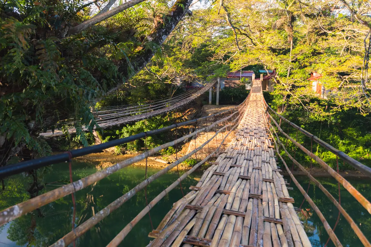 A bamboo suspension bridge crosses a river in Bohol, surrounded by trees with dense green foliage. Sunlight filters through the branches, and a building with a red roof is visible at the far end of the bridge.