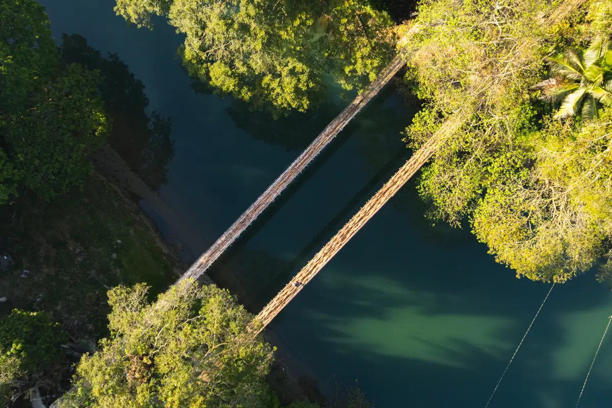 Aerial view of a narrow pedestrian bridge crossing over a calm, greenish river in Bohol, surrounded by dense trees on both sides, casting shadows on the water below.