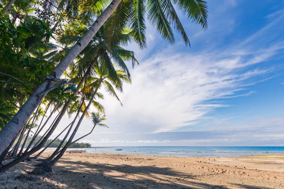 Tall palm trees line a sandy beach in Bohol under a partly cloudy sky, with calm blue ocean water in the background and a small boat near the shoreline.