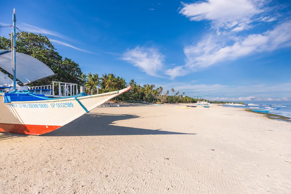 A white sandy beach in Bohol with a traditional outrigger boat on the left, palm trees lining the shore, and calm blue water under a clear sky with scattered clouds.