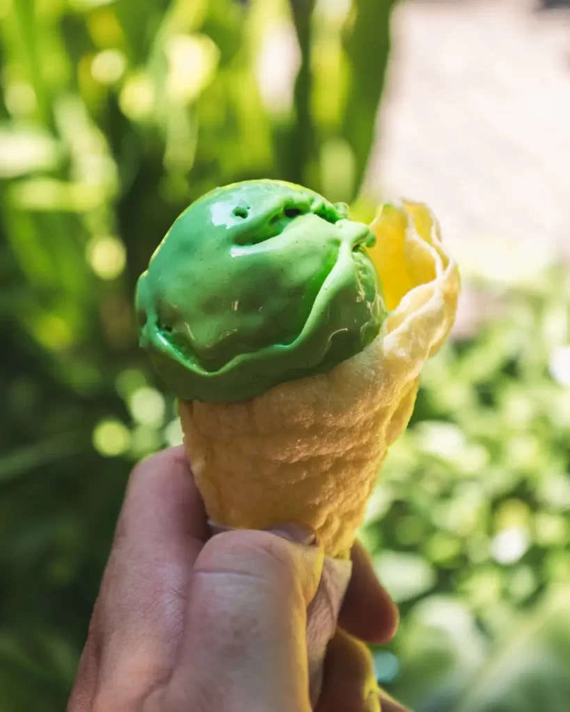 A hand holding an ice cream cone with a single scoop of bright green ice cream, enjoyed outdoors in Bohol, with lush plants and sunlight softly blurred in the background.