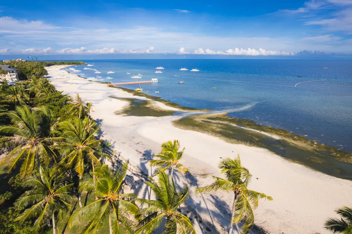 Aerial view of a tropical Bohol beach with white sand, palm trees, and clear blue water. Boats are anchored offshore, and a few buildings nestle among the trees to the left. The sky is mostly clear with some clouds on the horizon.
