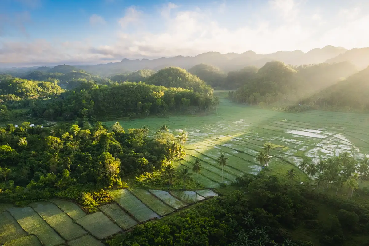 Aerial view of green rice fields and dense trees in Bohol with morning sunlight streaming through clouds, casting shadows over the landscape, hills visible in the background.