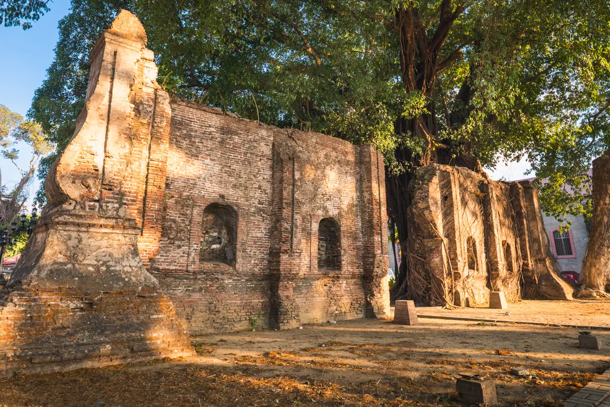 Old brick ruins with arched window openings stand beneath large trees, their roots and branches partially enveloping the structure. Sunlight casts shadows on the ground—a hidden gem among the best Vigan attractions for curious explorers.