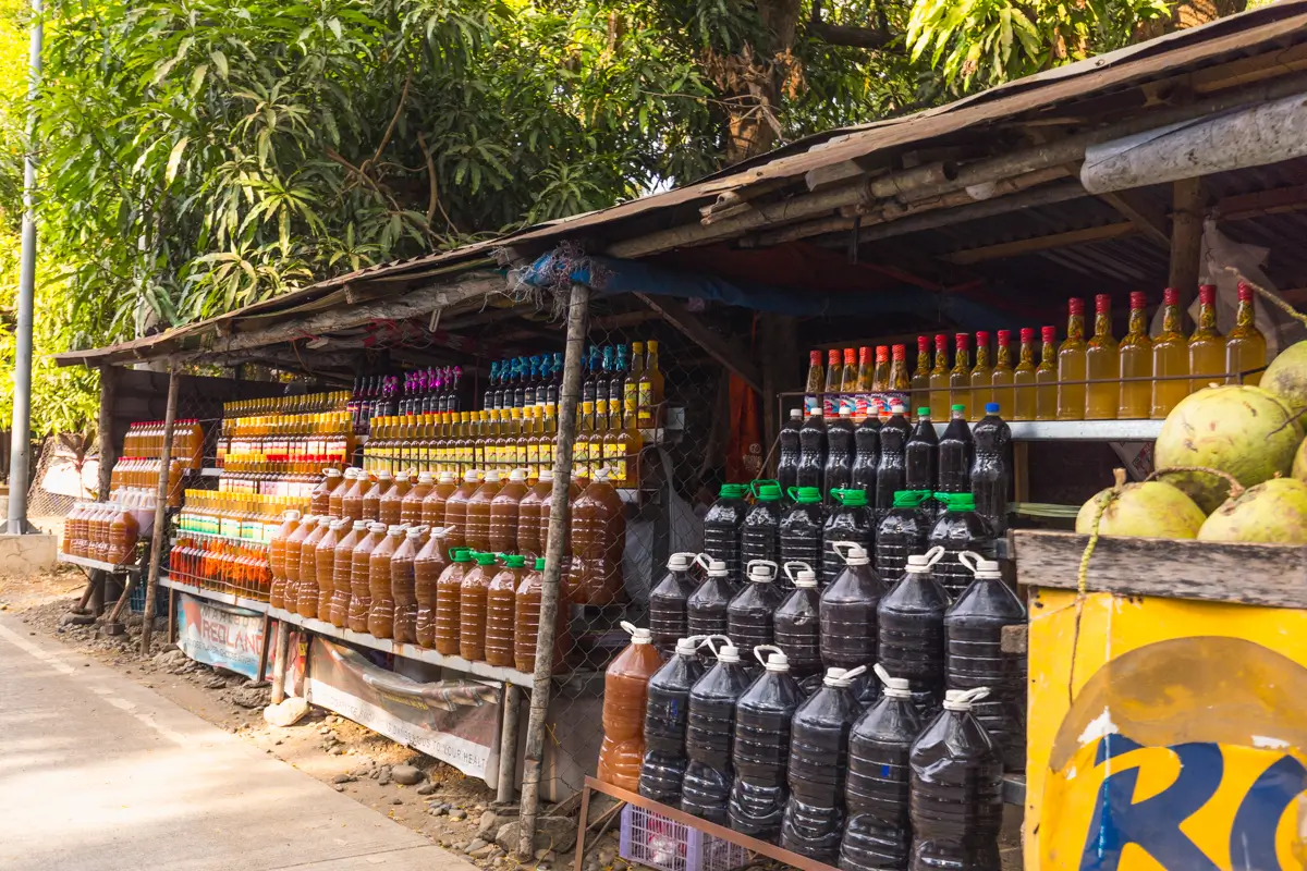 Bottles and large plastic containers filled with various colored liquids are displayed on wooden shelves at an outdoor roadside stall—an authentic scene often found near Vigan tourist spots, with green trees and coconuts nearby.