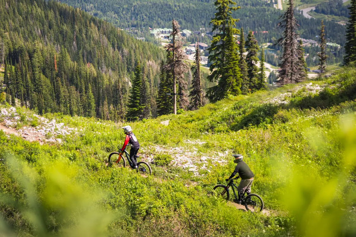 Two people wearing helmets ride mountain bikes on a narrow trail through green, grassy hills with pine trees near Fernie. A small town and more hills are visible in the background under a bright sky.