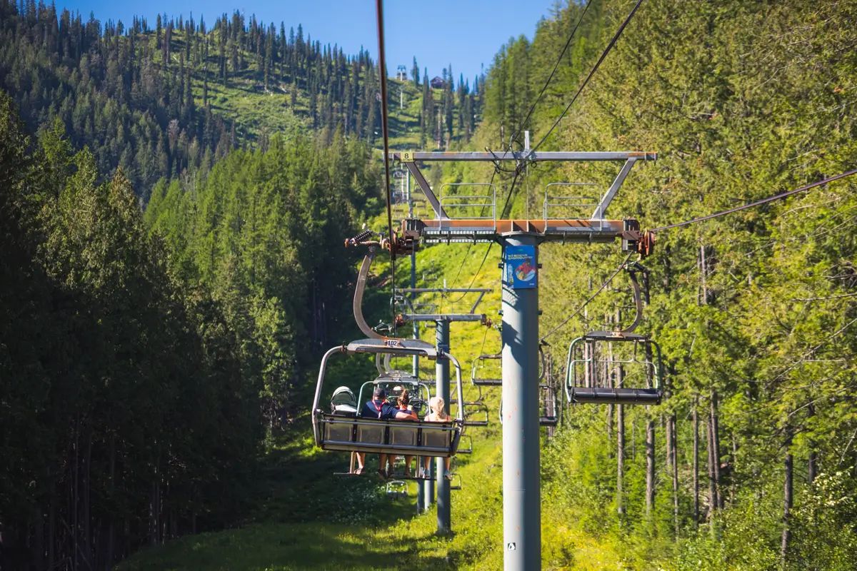 A ski lift with people seated ascends Fernie's green, forested mountainside under a clear blue sky. Tall pine trees surround the lift, and sunlight illuminates the landscape.