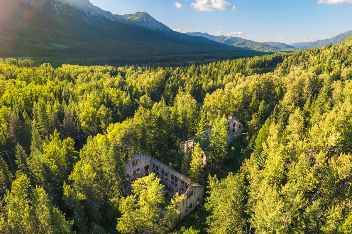 Aerial view of a dense, green forest near Fernie with the ruins of an old, rectangular concrete building partially hidden among the trees. Mountains rise in the background under a blue sky with scattered clouds.