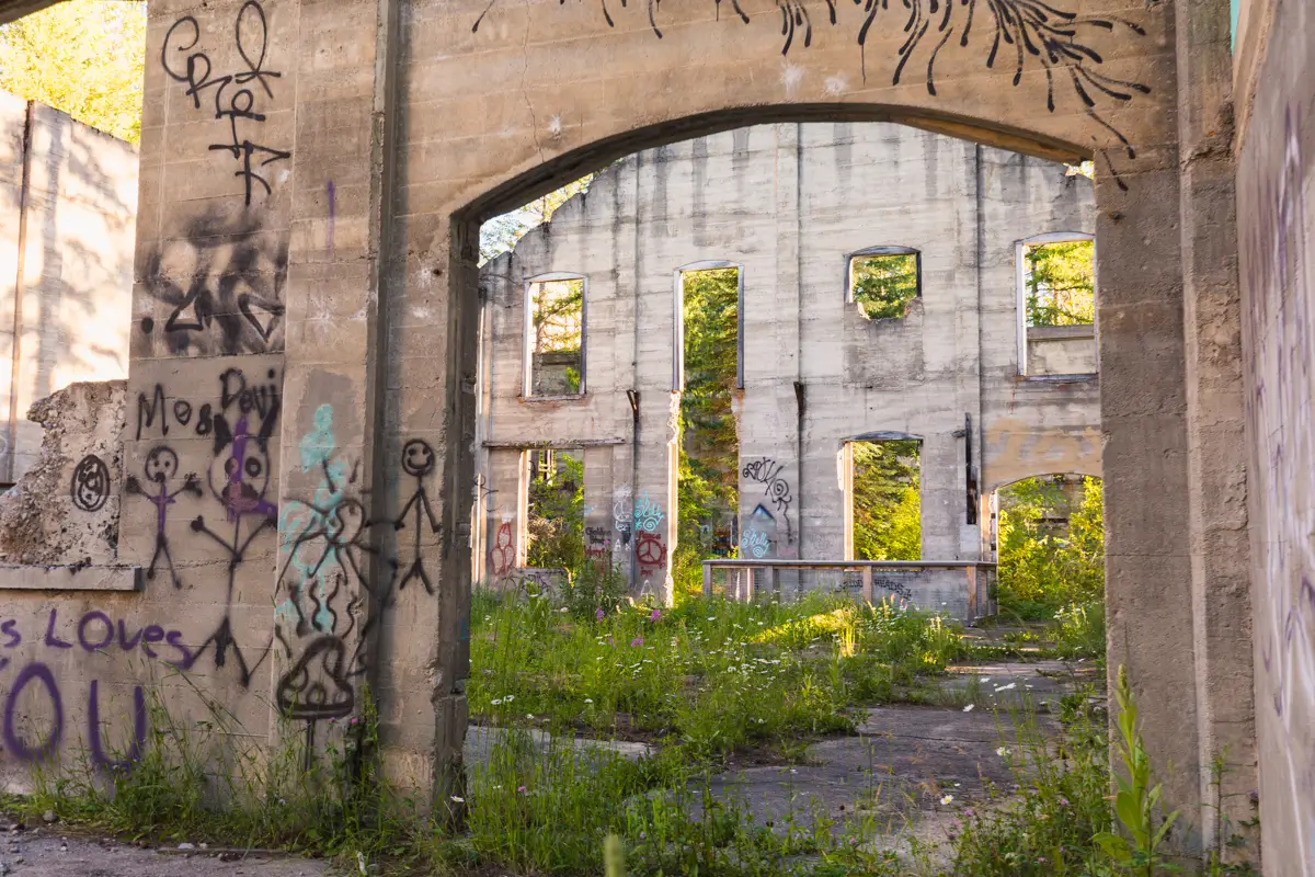 A concrete structure with graffiti stands abandoned in Fernie. Tall grass and weeds grow on the ground inside, and sunlight shines through empty window frames in the background wall.