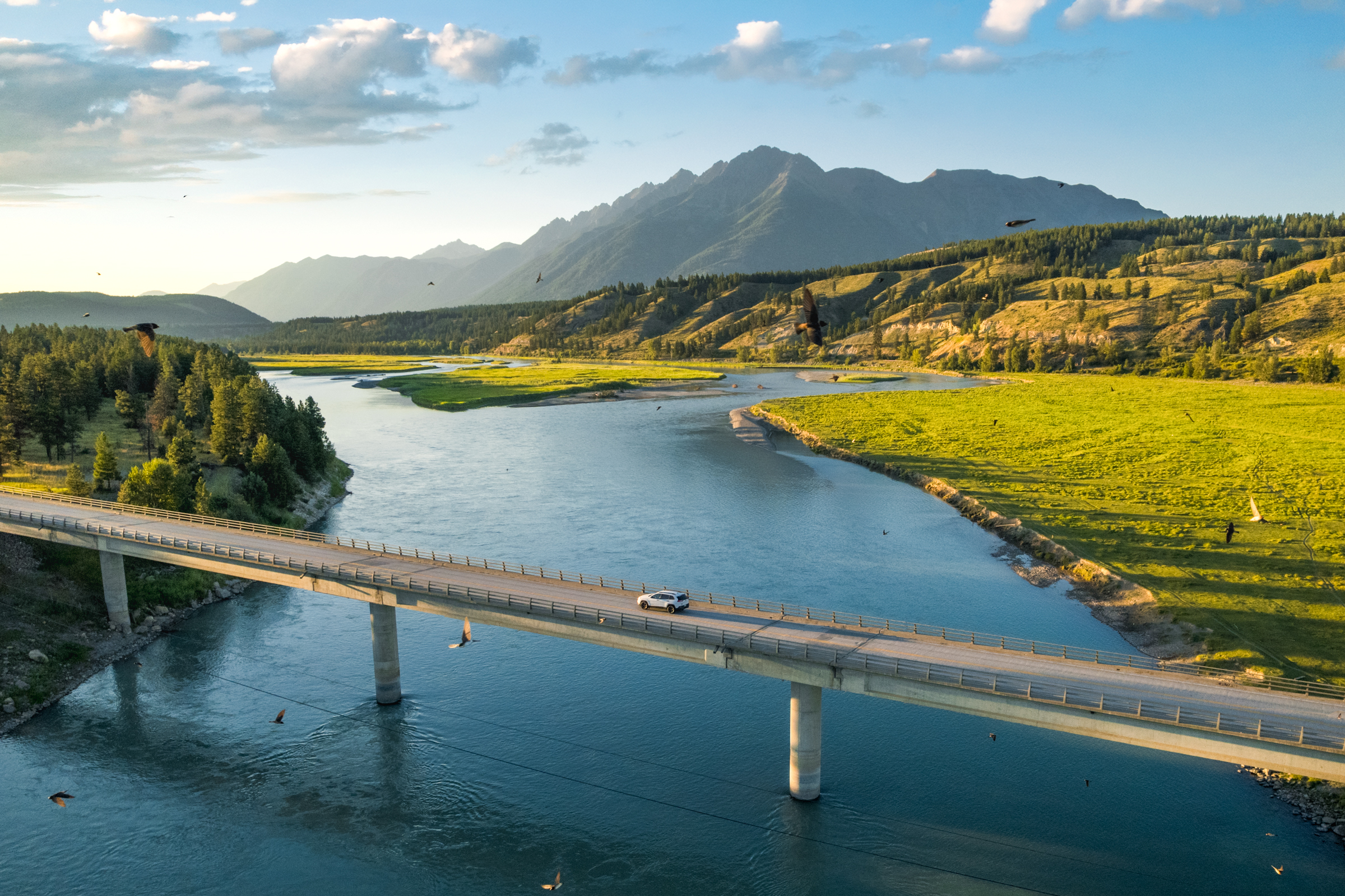 A car drives across a concrete bridge spanning a wide river near Cranbrook. Lush green fields and trees line the riverbanks, with mountains in the background under a partly cloudy sky. Birds are flying above the scene, suggesting just one of many picturesque things to do while exploring Kimberley and its scenic surroundings.